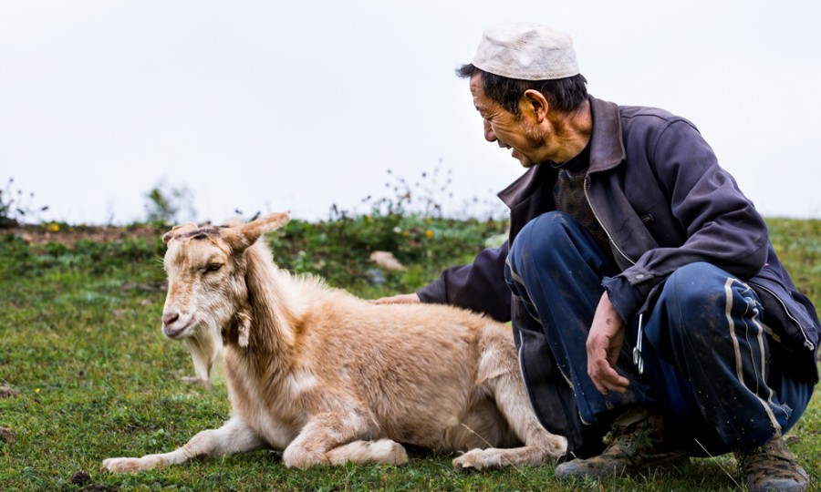 J9游戏·【中国】官方网站