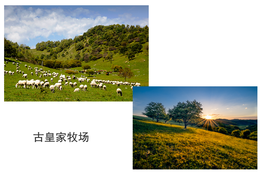 J9游戏·【中国】官方网站