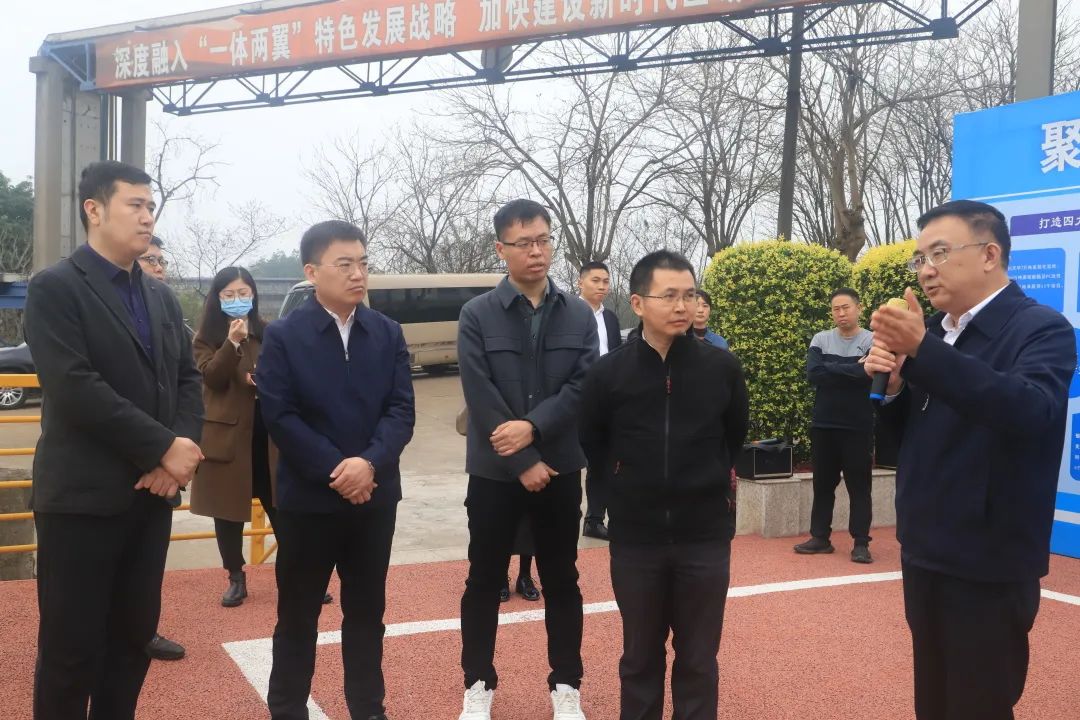 国家生长刷新委领土开发与地区经济研究所专家莅临公司调研经济生长