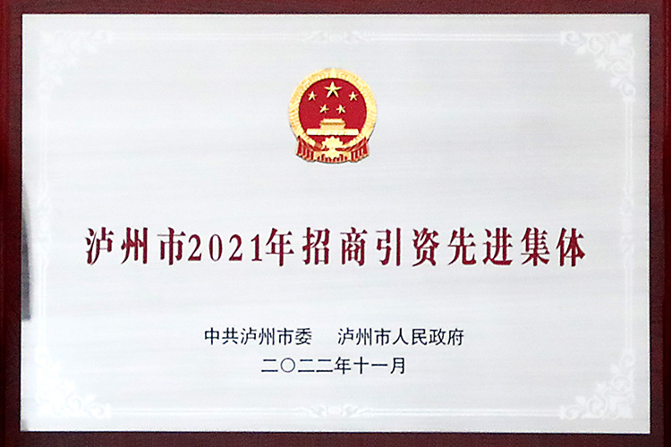 泸州市2021年招商引资先进整体