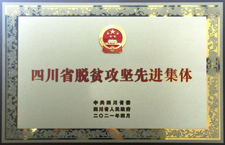四川省脱贫攻坚先进整体