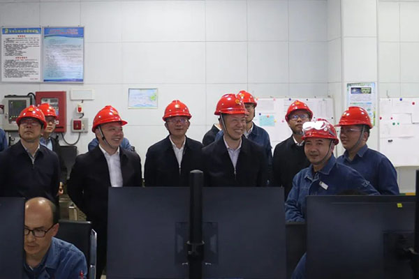市政协副主席、应急治理局局长李华桂带队到公司调研