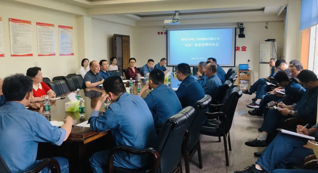 集团召开“五标系统”治理评审会